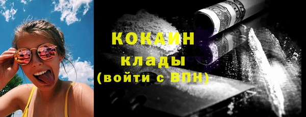 индика Кулебаки
