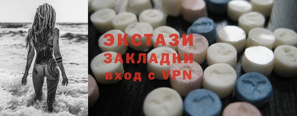 индика Кулебаки