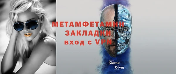 индика Кулебаки