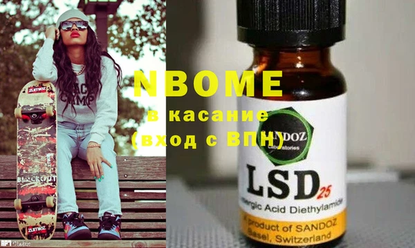 индика Кулебаки
