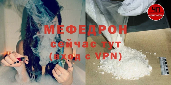 индика Кулебаки