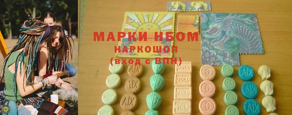 индика Кулебаки
