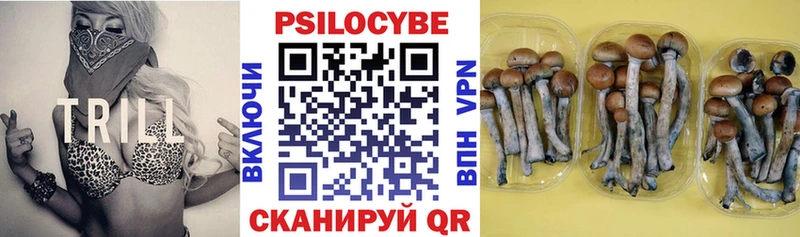 Псилоцибиновые грибы прущие грибы  Александровское 